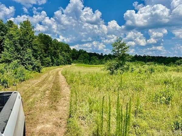 40 Acres of Land for Auction in Murfreesboro, Arkansas