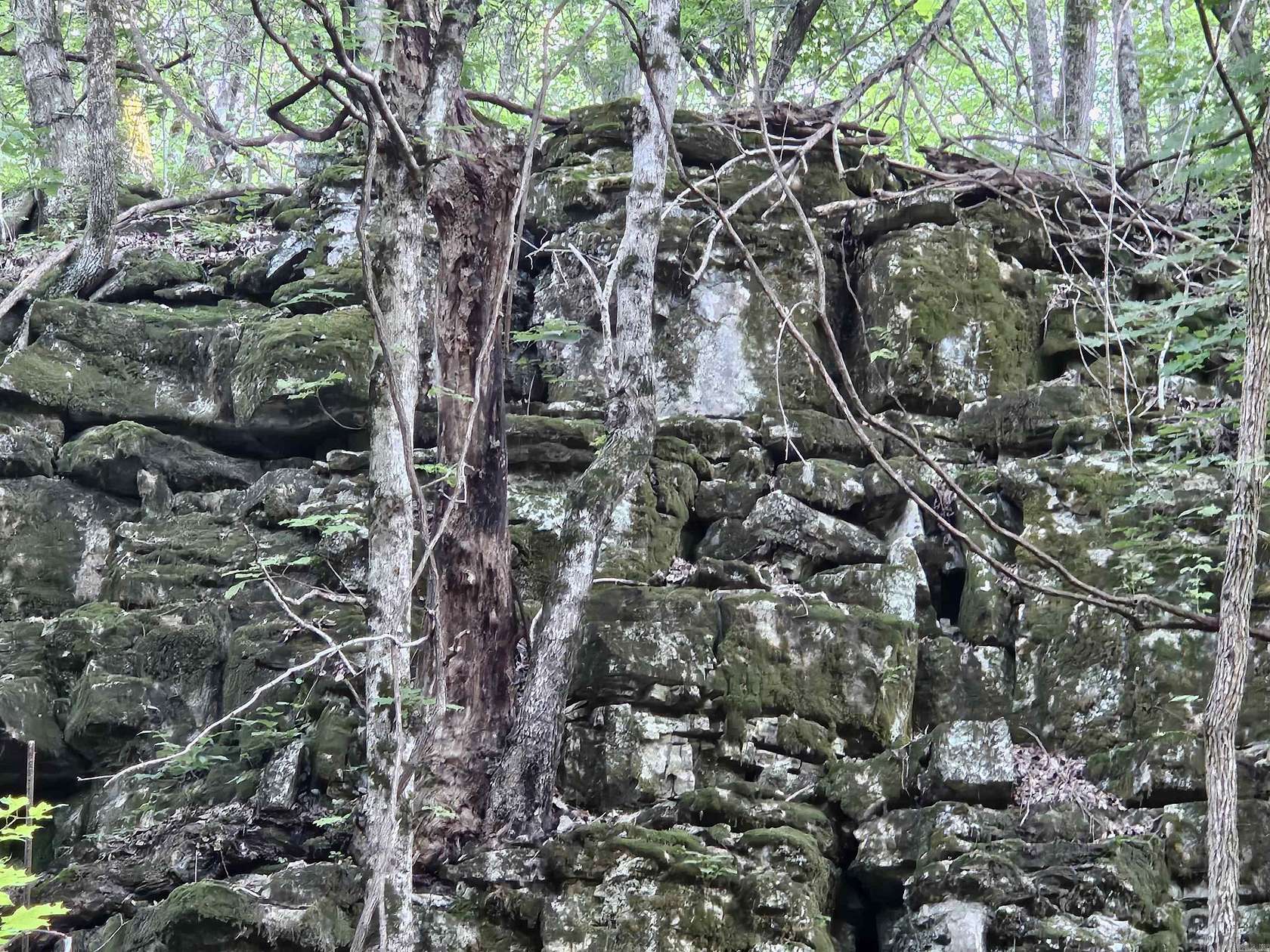 2.42 Acres of Land for Sale in Marshall, Arkansas