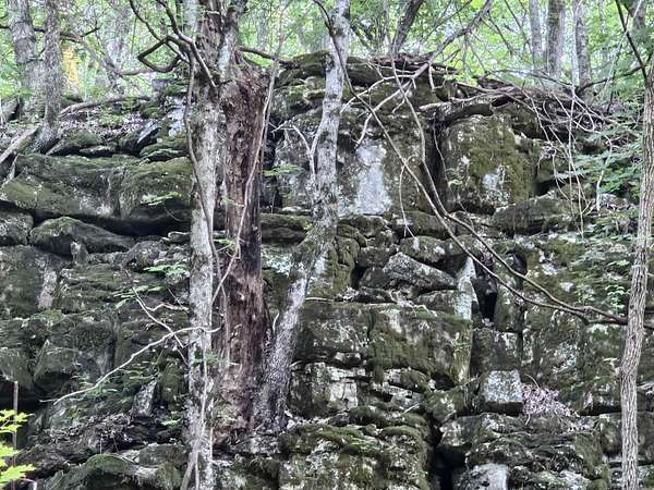 2.42 Acres of Land for Sale in Marshall, Arkansas