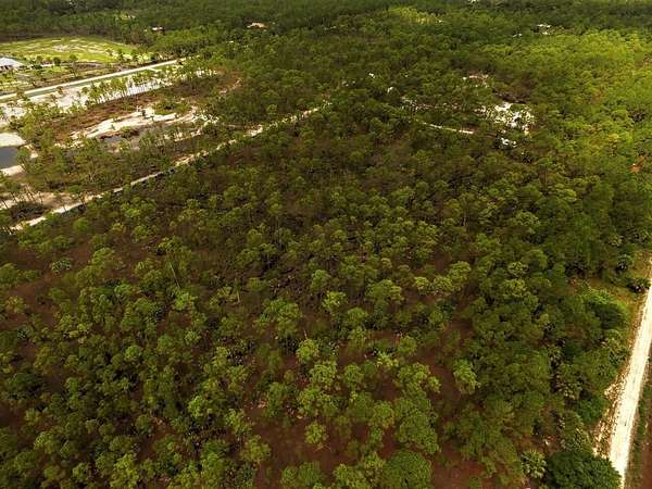 10 Acres of Residential Land for Sale in Fellsmere, Florida