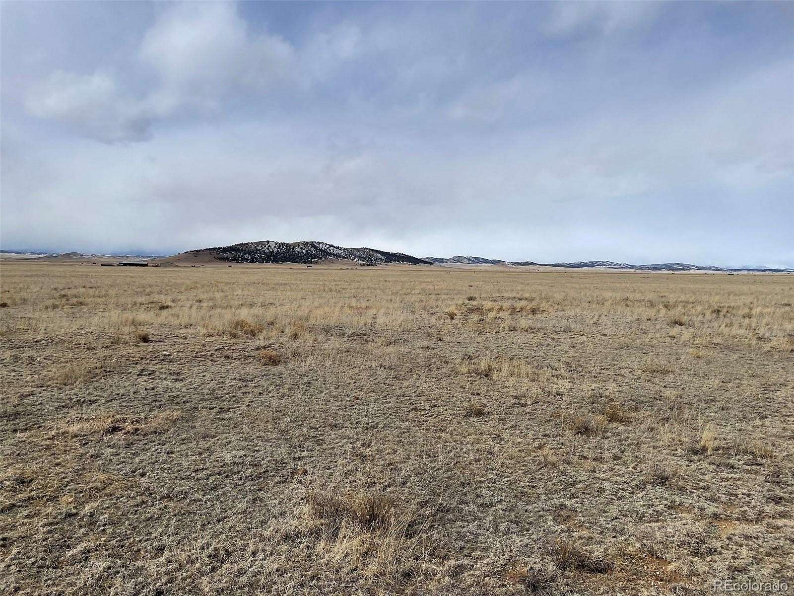 40 Acres of Land for Sale in Hartsel, Colorado