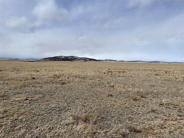 40 Acres of Land for Sale in Hartsel, Colorado