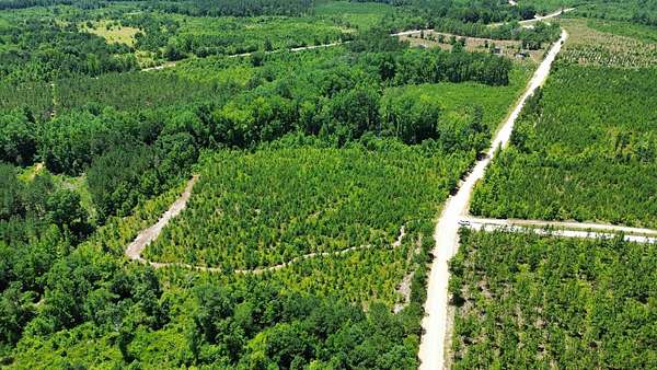 6 Acres of Residential Land for Sale in Chesterfield, South Carolina