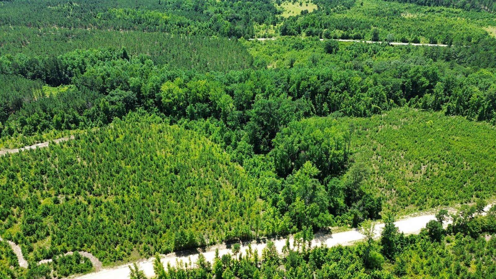 6 Acres of Residential Land for Sale in Chesterfield, South Carolina