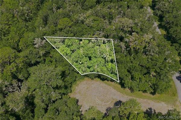 0.3 Acres of Residential Land for Sale in Dunnellon, Florida