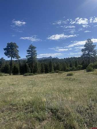 3 Acres of Land for Sale in Pagosa Springs, Colorado