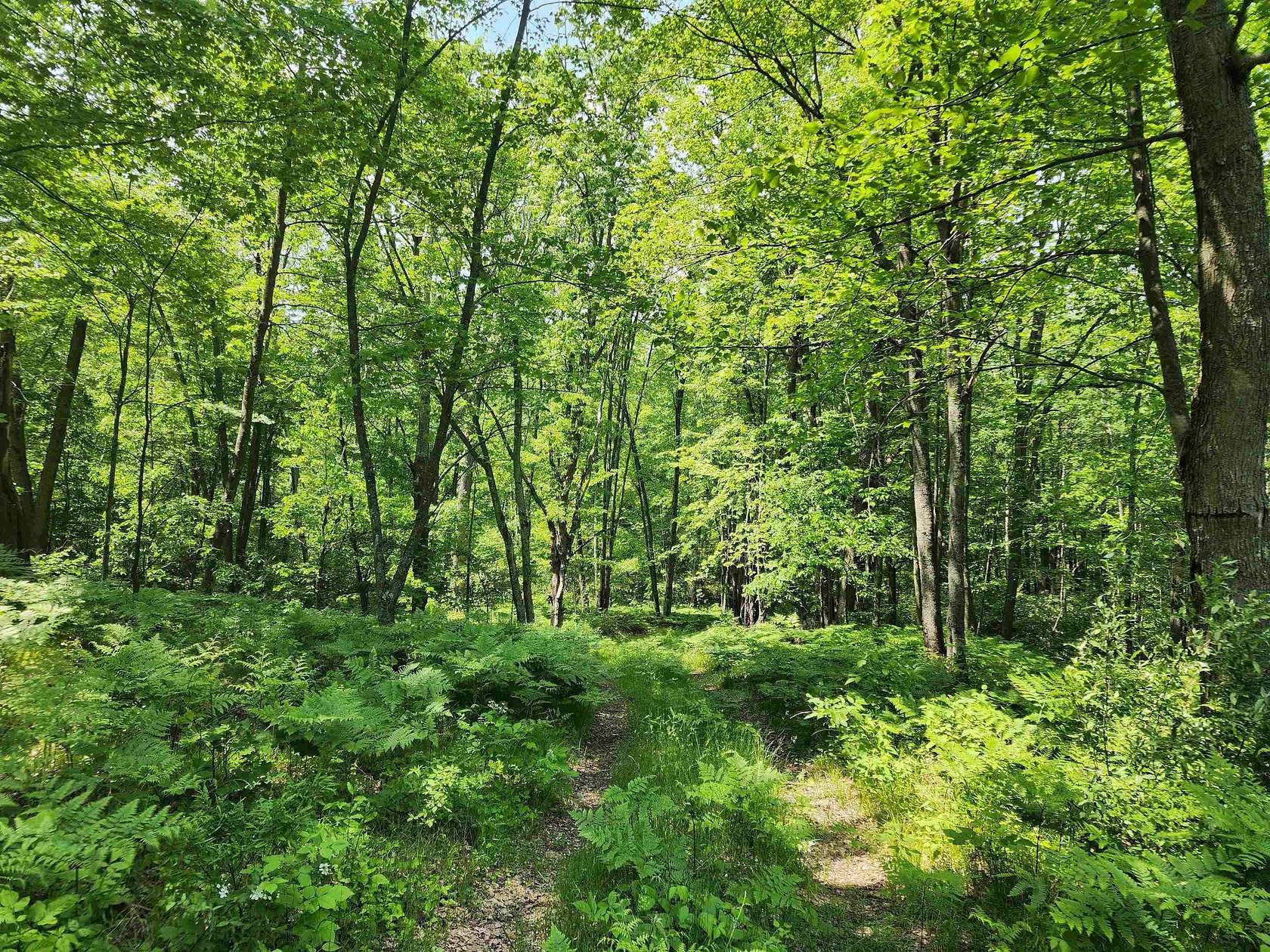 25 Acres of Recreational Land for Sale in Harrison, Michigan