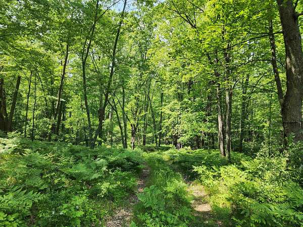 25 Acres of Recreational Land for Sale in Harrison, Michigan