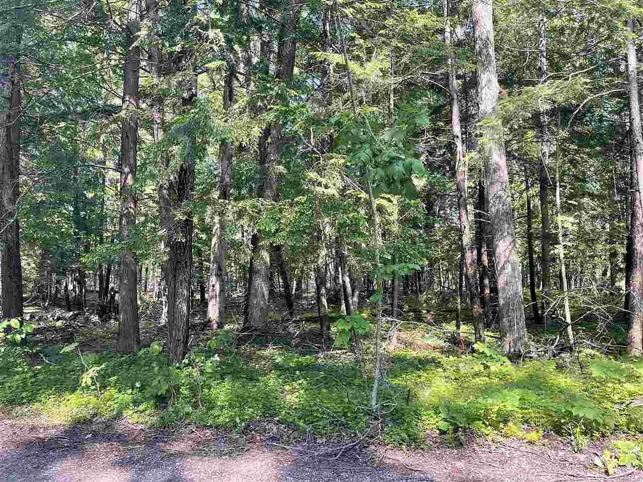 0.9 Acres of Land for Sale in Harbor Springs, Michigan