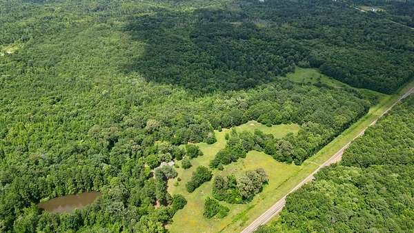 203 Acres of Recreational Land for Sale in Pittsburg, Texas
