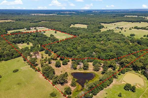 43.7 Acres of Land for Sale in Honey Grove, Texas