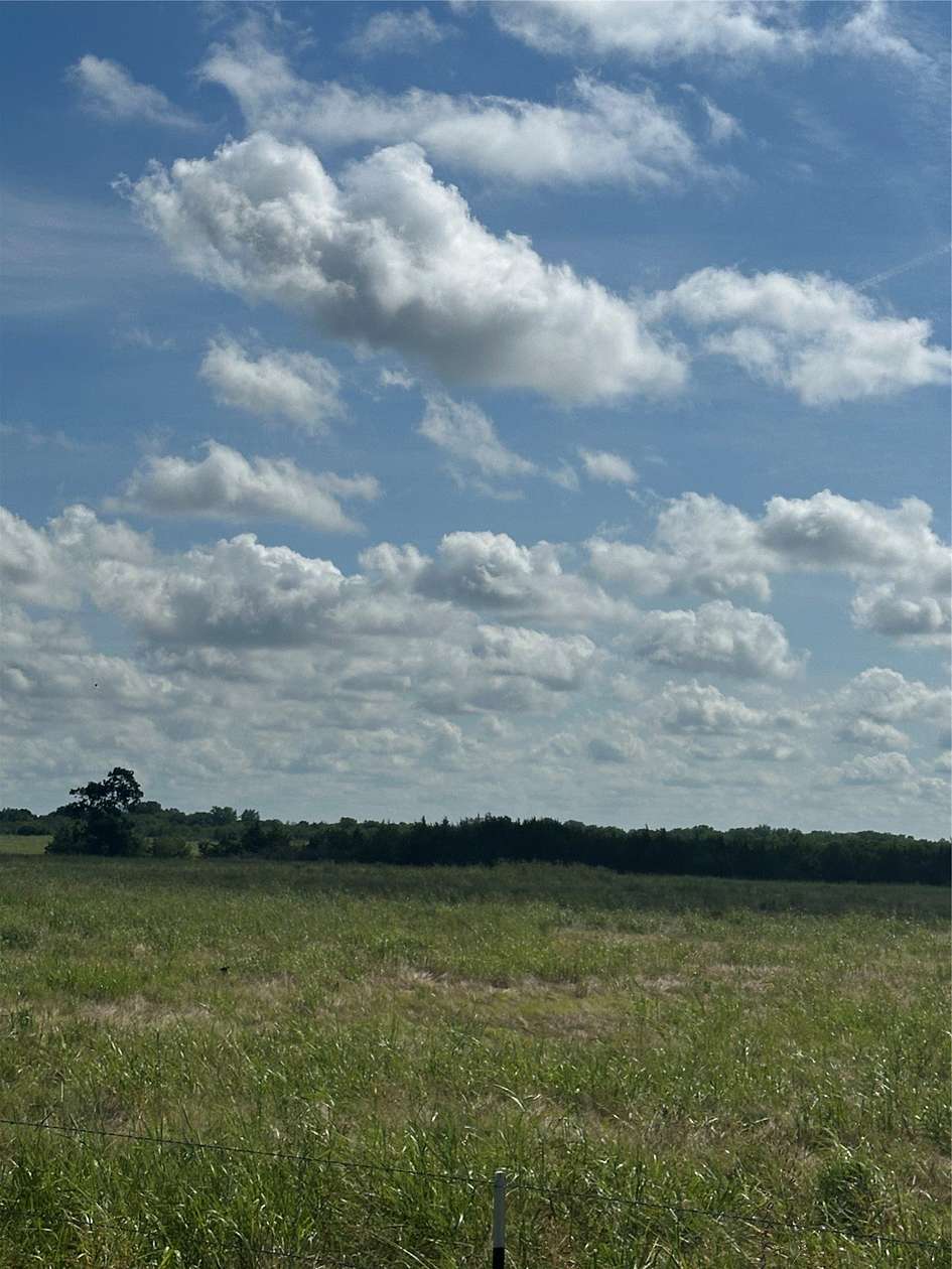 206 Acres of Agricultural & Residential Land for Sale in Honey Grove, Texas