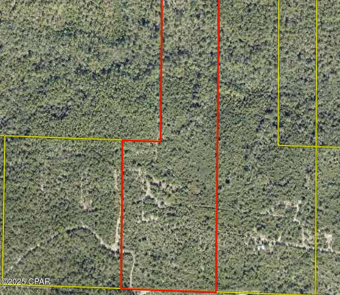 40 Acres of Land for Sale in DeFuniak Springs, Florida