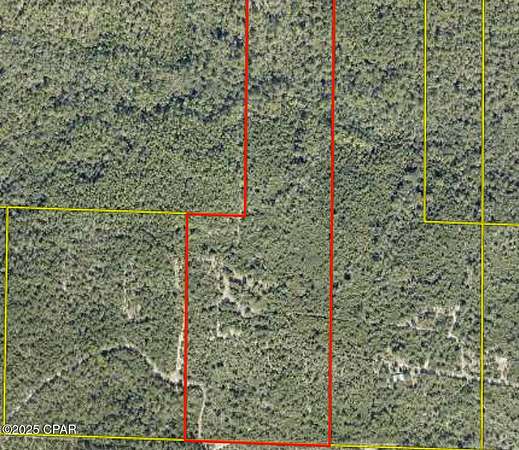 40 Acres of Land for Sale in DeFuniak Springs, Florida