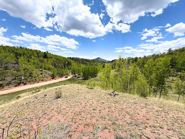 1 Acre of Residential Land for Sale in Cripple Creek, Colorado