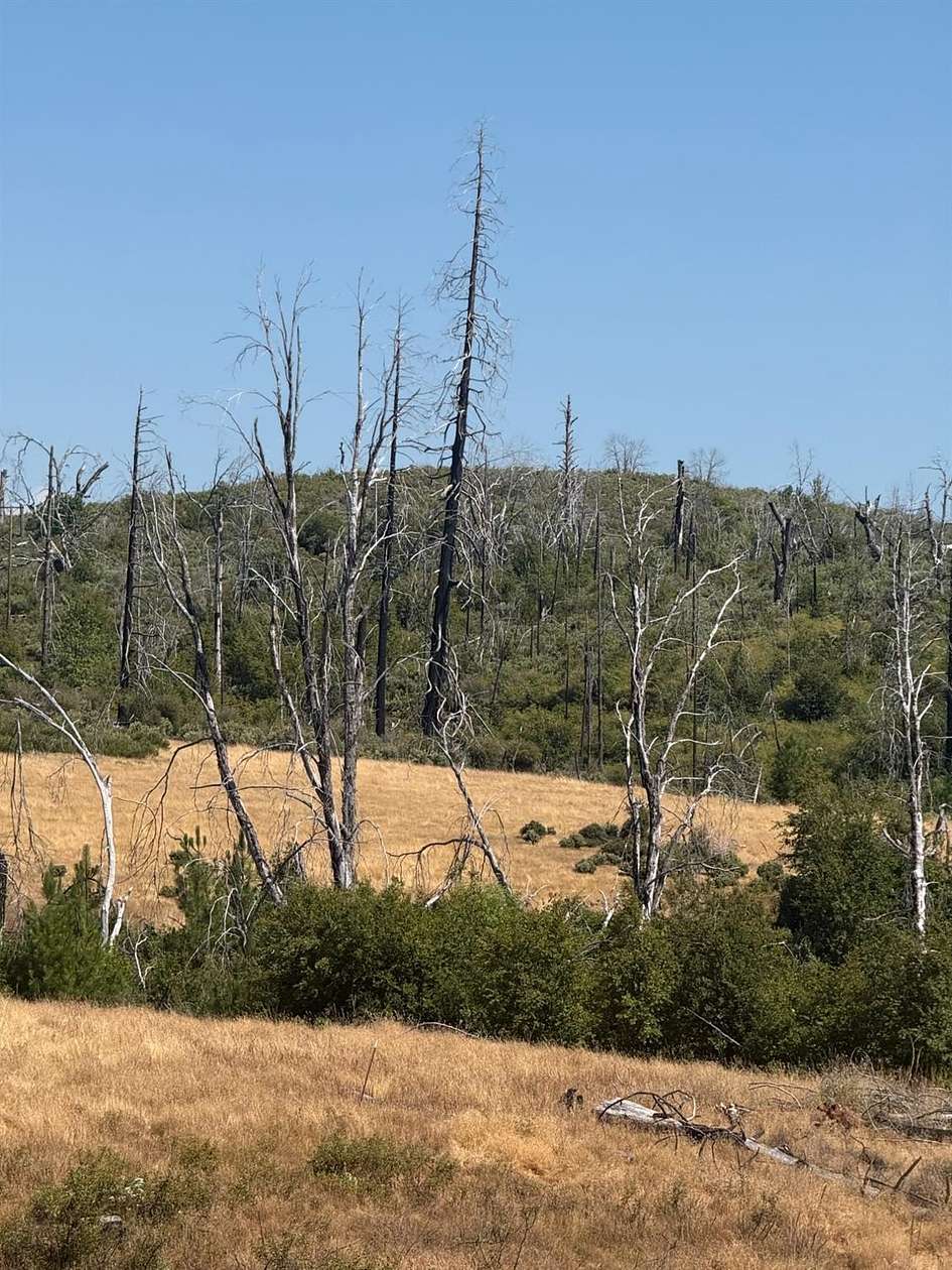 20.2 Acres of Land for Sale in Mountain Ranch, California