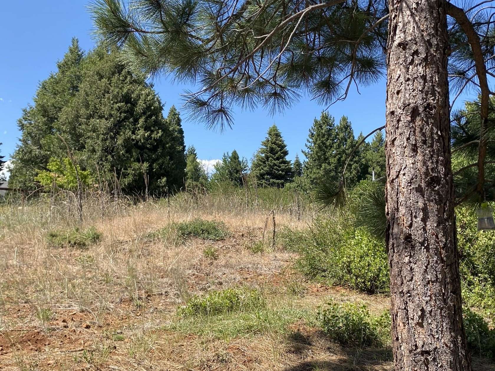 0.39 Acres of Residential Land for Sale in Hamilton Branch, California