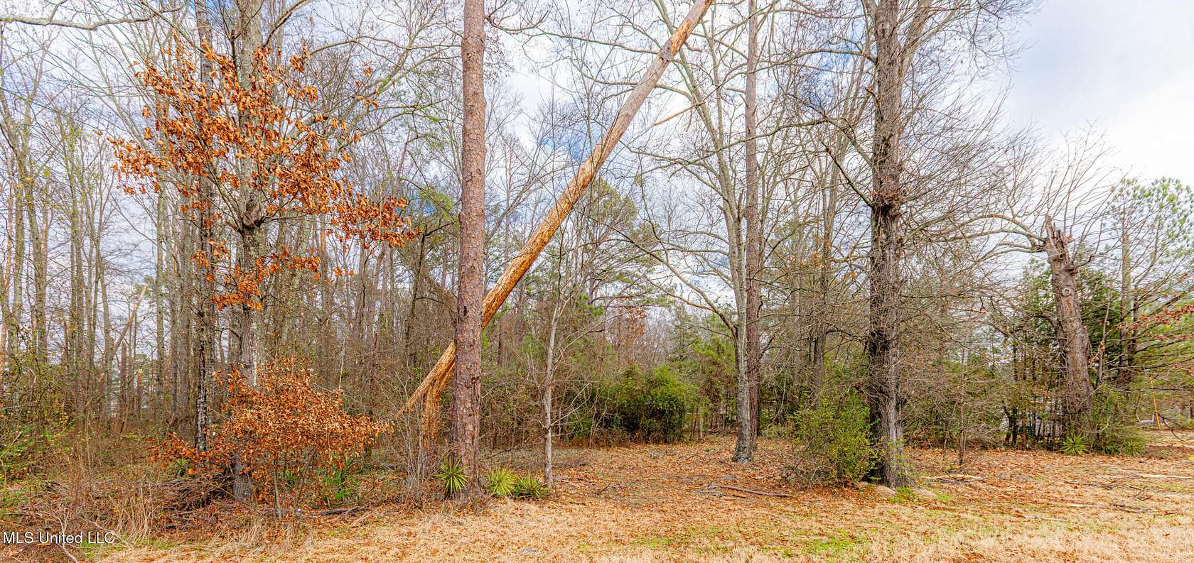 0.43 Acres of Land for Sale in Flowood, Mississippi