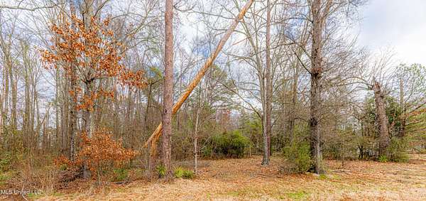 0.43 Acres of Land for Sale in Flowood, Mississippi