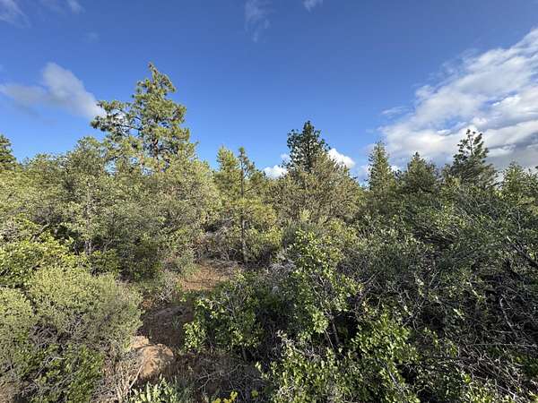 1 Acre of Residential Land for Sale in Bonanza, Oregon