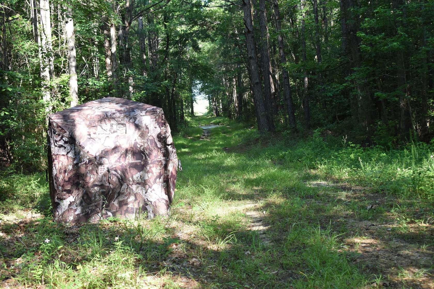 119 Acres of Recreational Land for Sale in Stephens, Arkansas