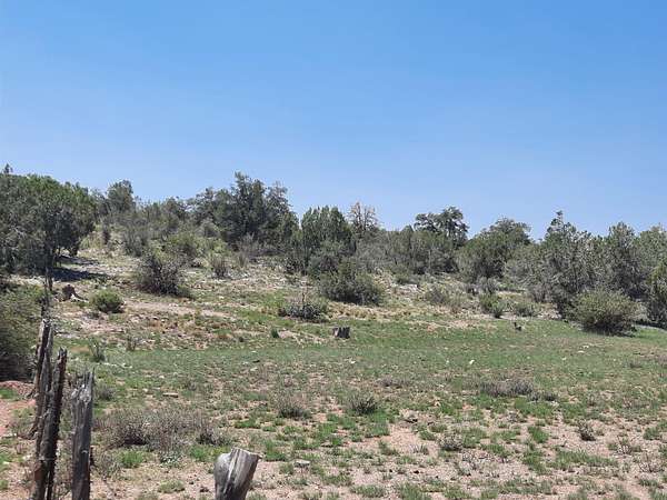 160 Acres of Land for Sale in Seligman, Arizona