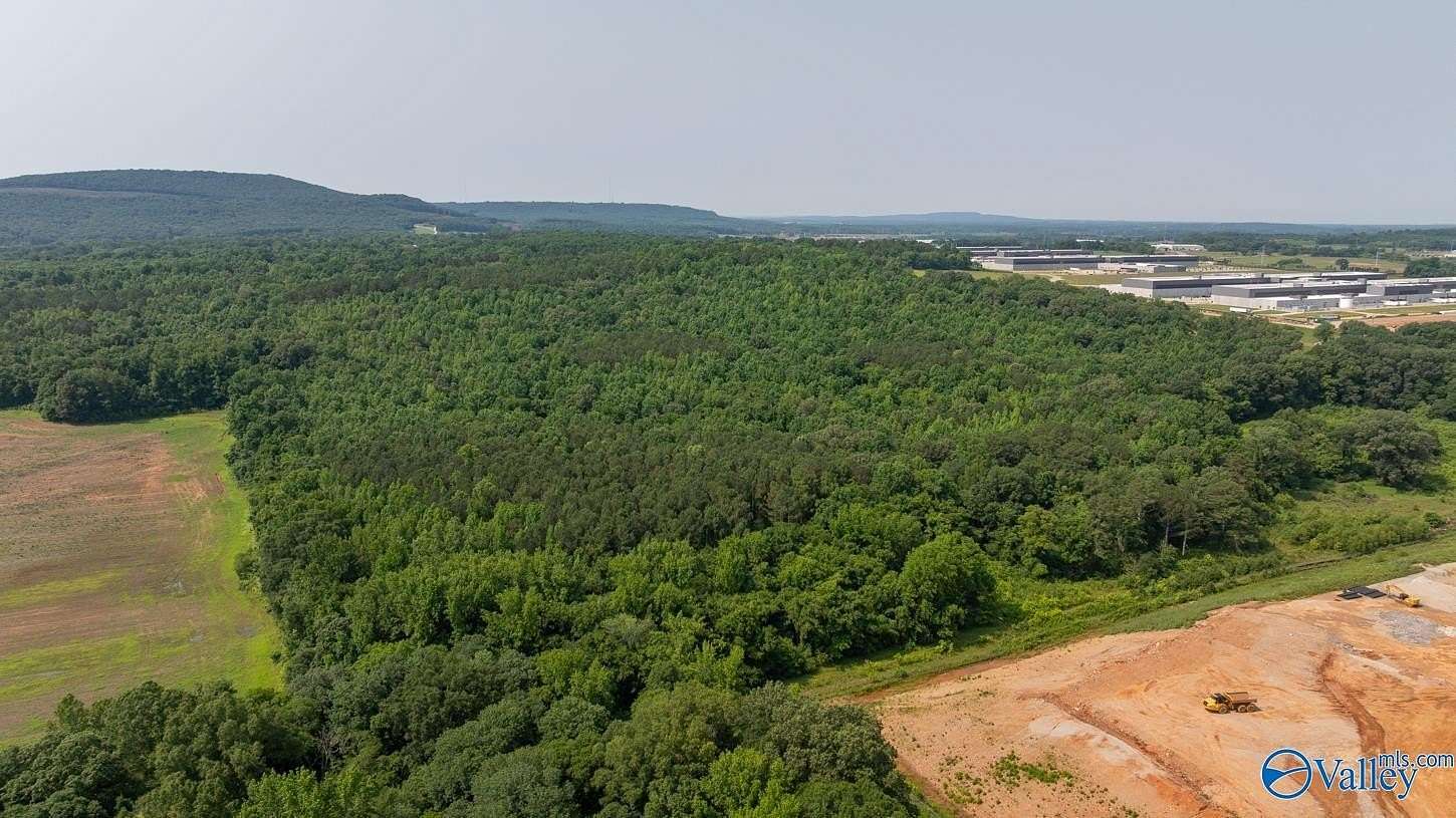 91 Acres of Land for Sale in Toney, Alabama