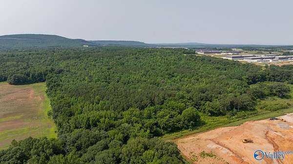 91 Acres of Land for Sale in Toney, Alabama