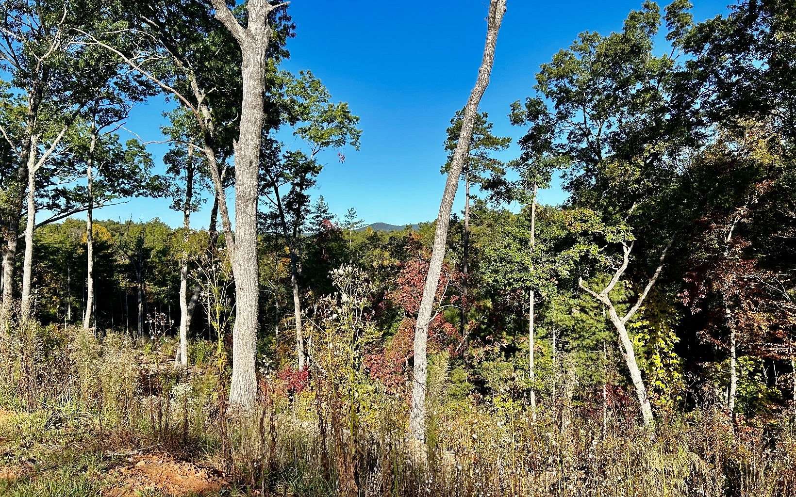 4.15 Acres of Residential Land for Sale in Ellijay, Georgia