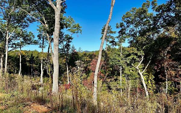 4.15 Acres of Residential Land for Sale in Ellijay, Georgia