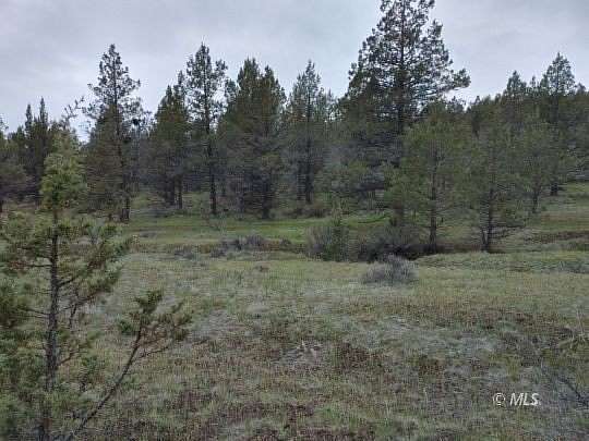 20 Acres of Recreational Land for Sale in Alturas, California