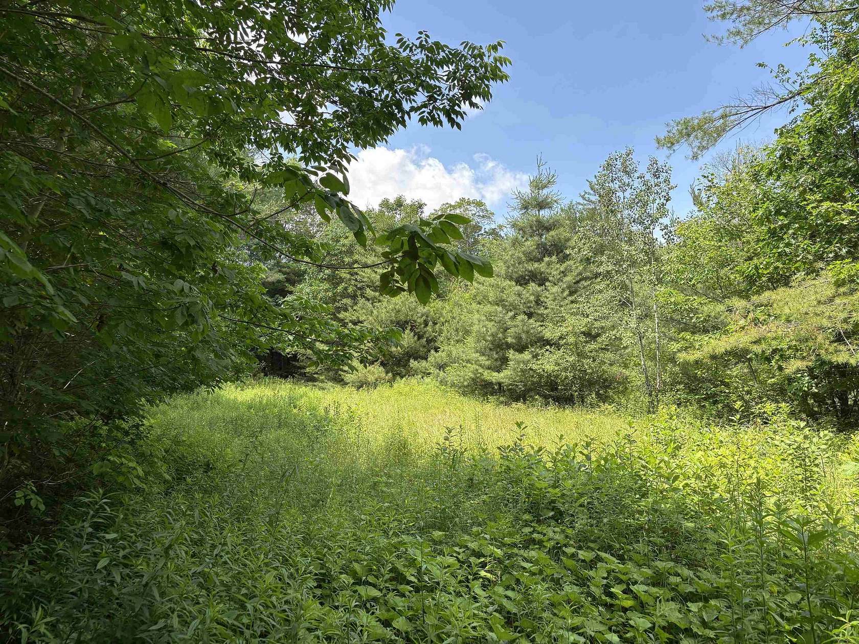 4 Acres of Residential Land for Sale in Andover, Vermont