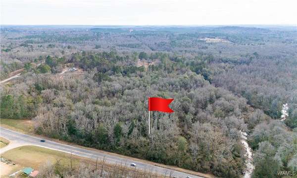 65.6 Acres of Recreational Land for Sale in Gordo, Alabama