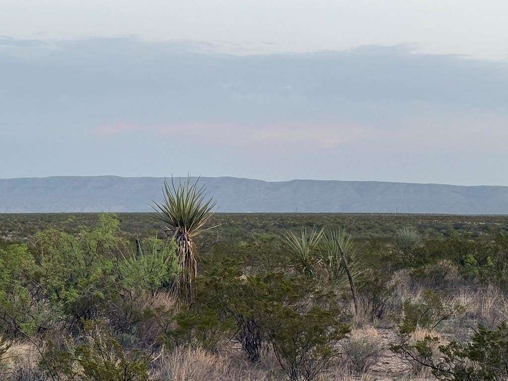 450 Acres of Land for Sale in Dryden, Texas