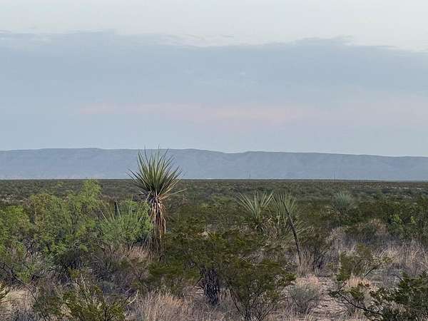 450 Acres of Land for Sale in Dryden, Texas