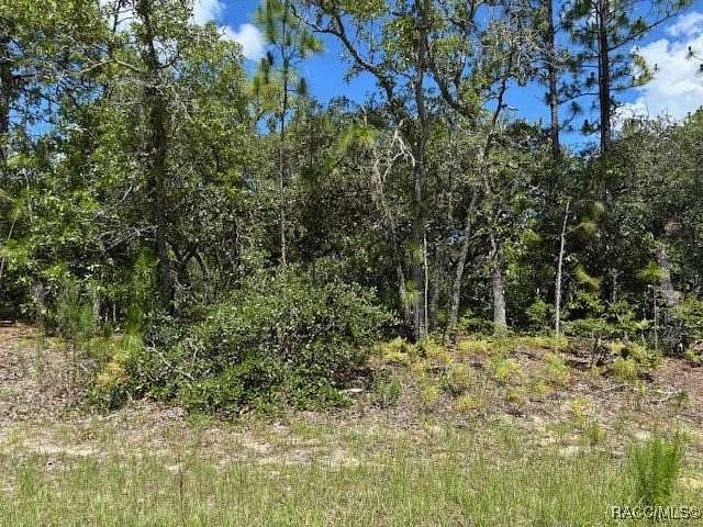 0.23 Acres of Residential Land for Sale in Citrus Springs, Florida