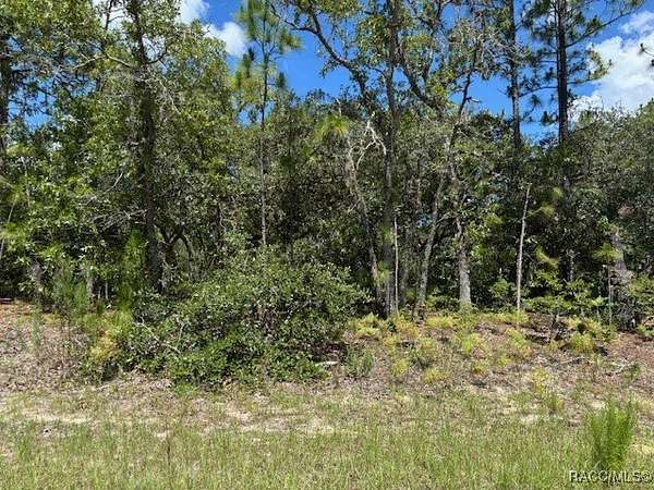 0.23 Acres of Residential Land for Sale in Citrus Springs, Florida