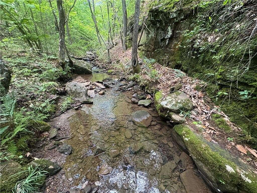 13 Acres of Recreational Land for Sale in Ozone, Arkansas