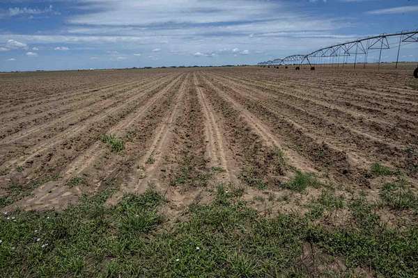 160 Acres of Land for Sale in New Home, Texas