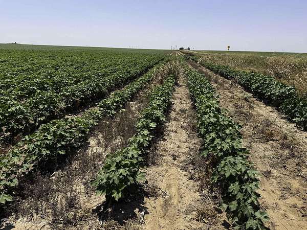 172 Acres of Land for Sale in New Home, Texas
