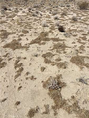 20 Acres of Land for Sale in Blythe, California