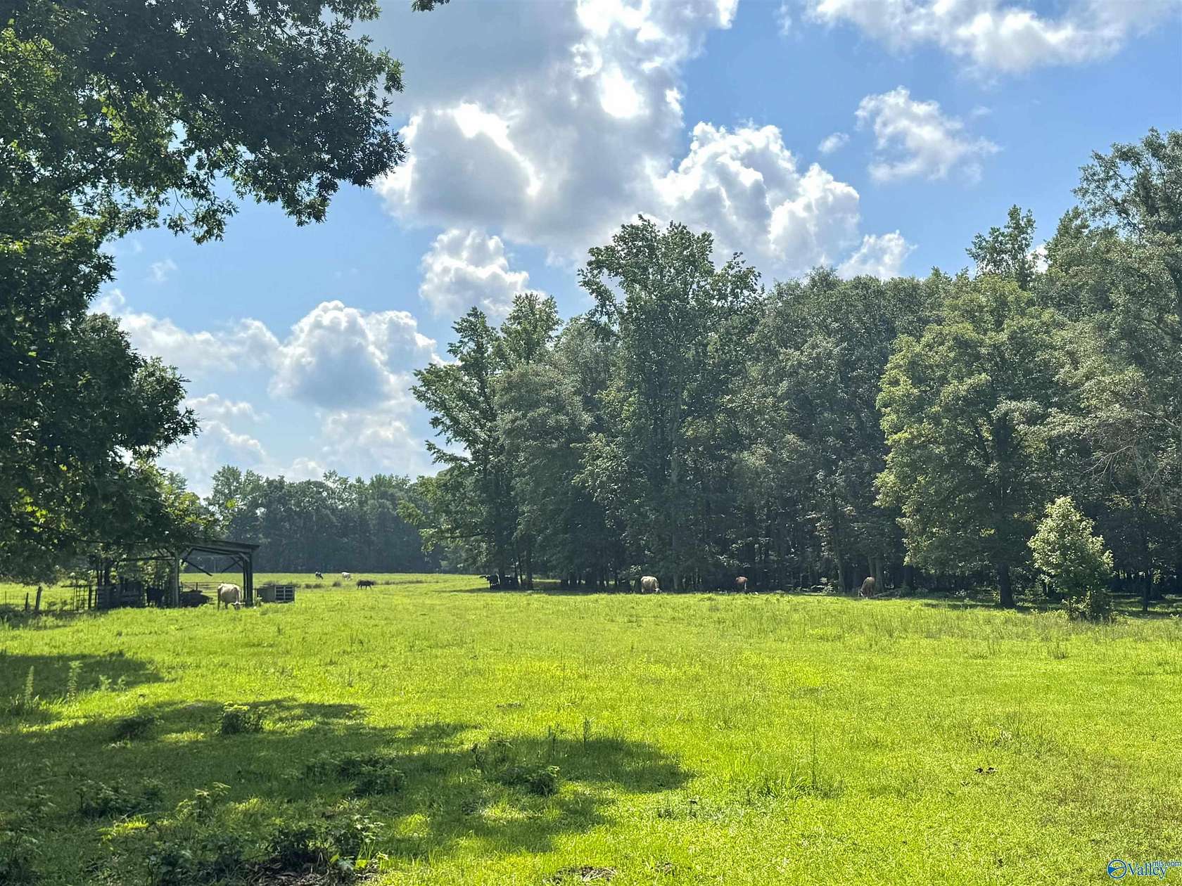 124 Acres of Land for Sale in Moulton, Alabama
