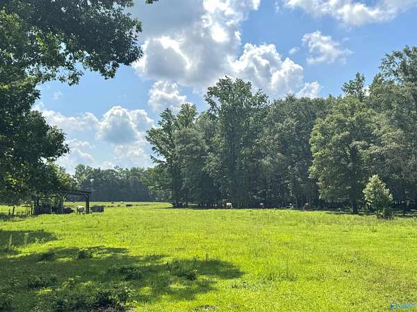 124 Acres of Land for Sale in Moulton, Alabama