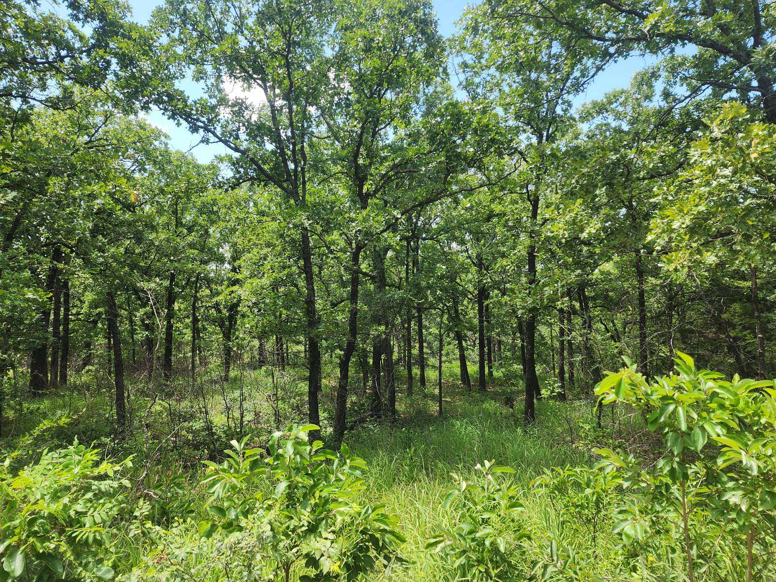 6.49 Acres of Residential Land for Sale in Stuart, Oklahoma