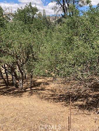 0.25 Acres of Residential Land for Sale in Bradley, California