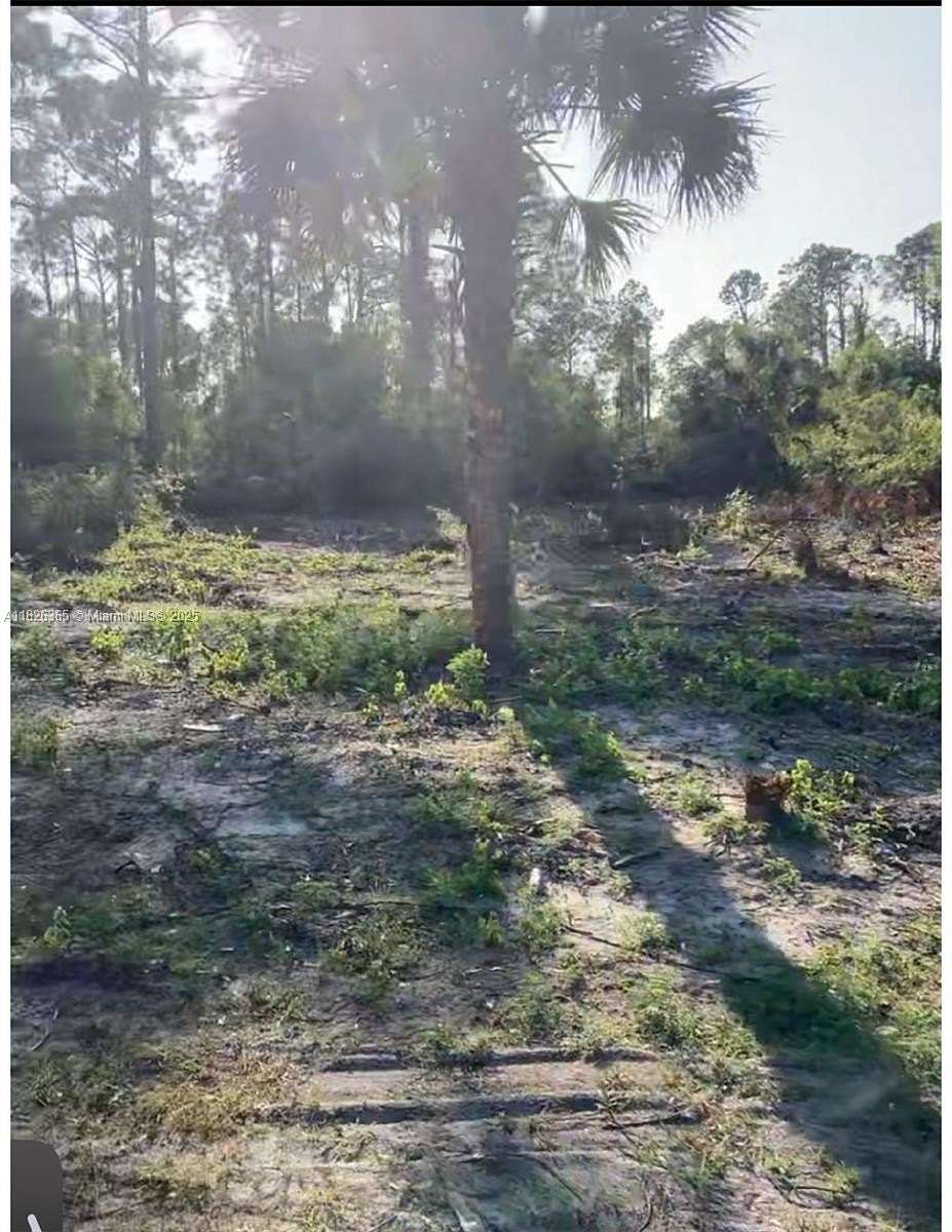 0.24 Acres of Residential Land for Sale in Lehigh Acres, Florida