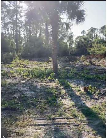 0.24 Acres of Residential Land for Sale in Lehigh Acres, Florida