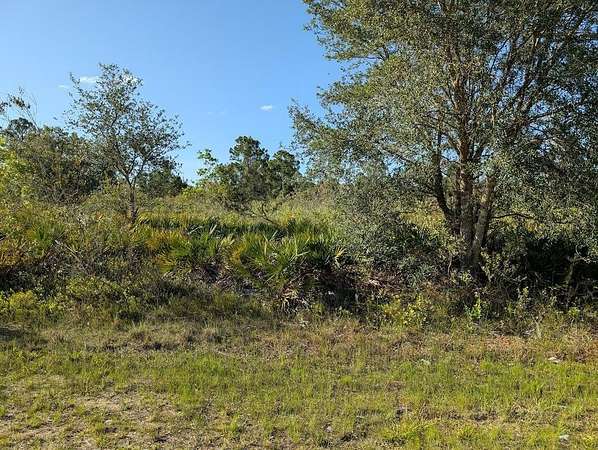 0.5 Acres of Residential Land for Sale in Indian Lake Estates, Florida