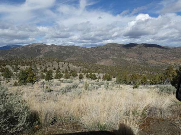 50.9 Acres of Land for Sale in Mitchell, Oregon