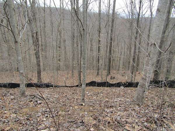 5 Acres of Residential Land for Sale in Wilder, Tennessee